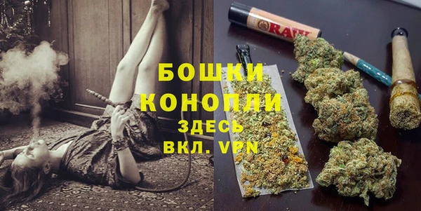 индика Балабаново