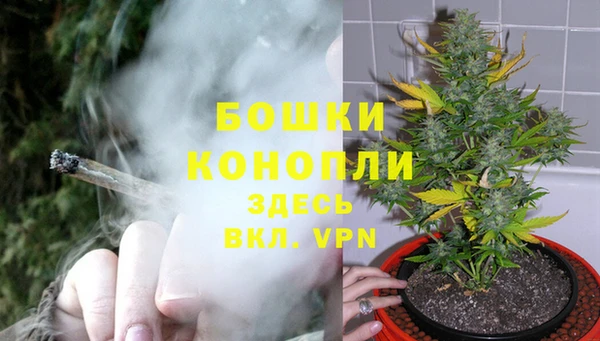 каннабис Баксан