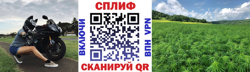 купить закладку  Кулебаки  Бошки марихуана LSD WEED 